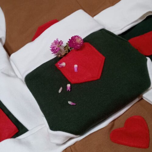 Kit Primavera 2 Calcinhas Absorventes - 2ª edição